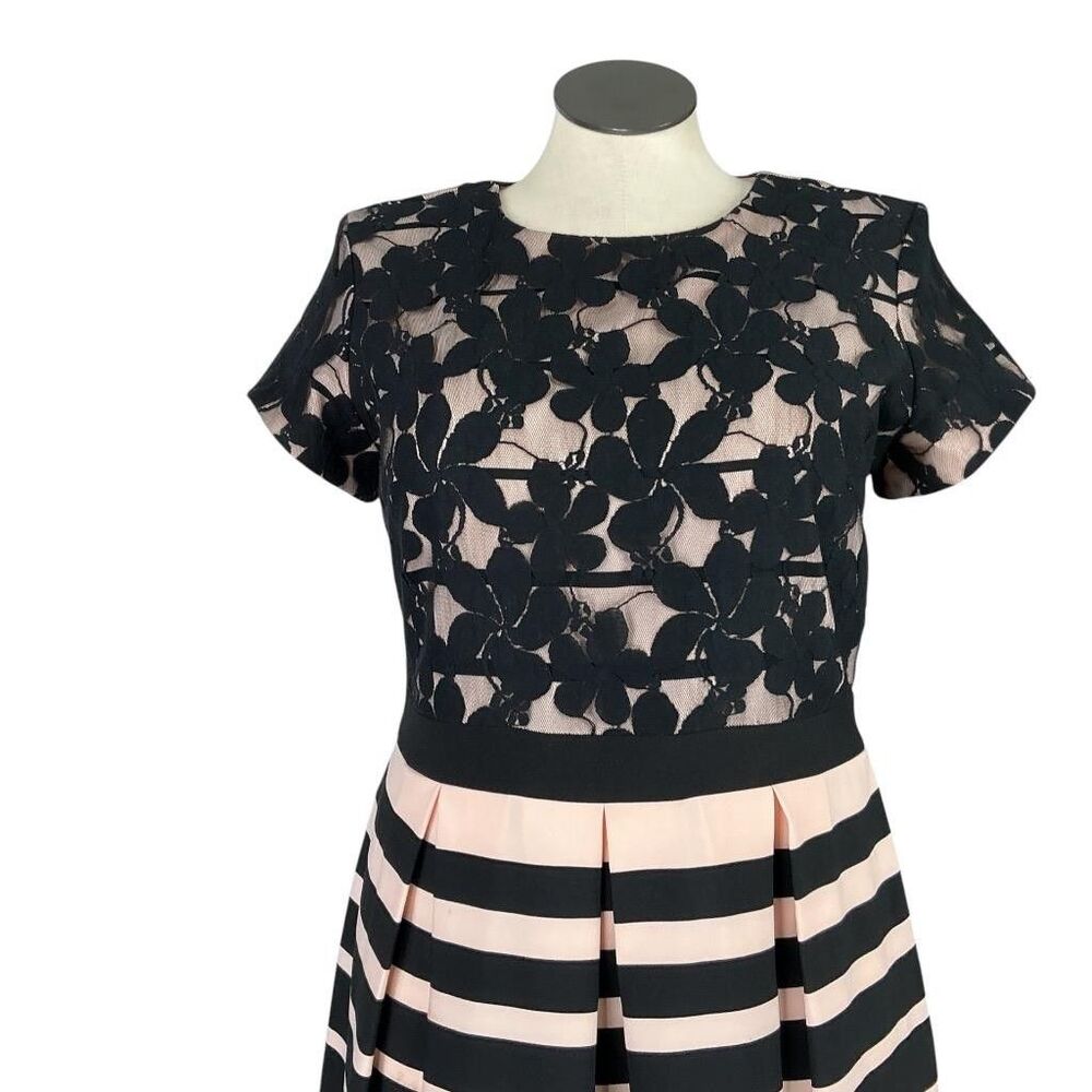 Danny & Nicole Fit Flare Dress Womens 16 Black Pink Lace Stripes Short Sleeeve - Picture 3 of 10